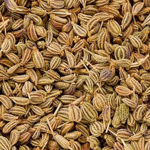 A pile of carom seeds / ajwain