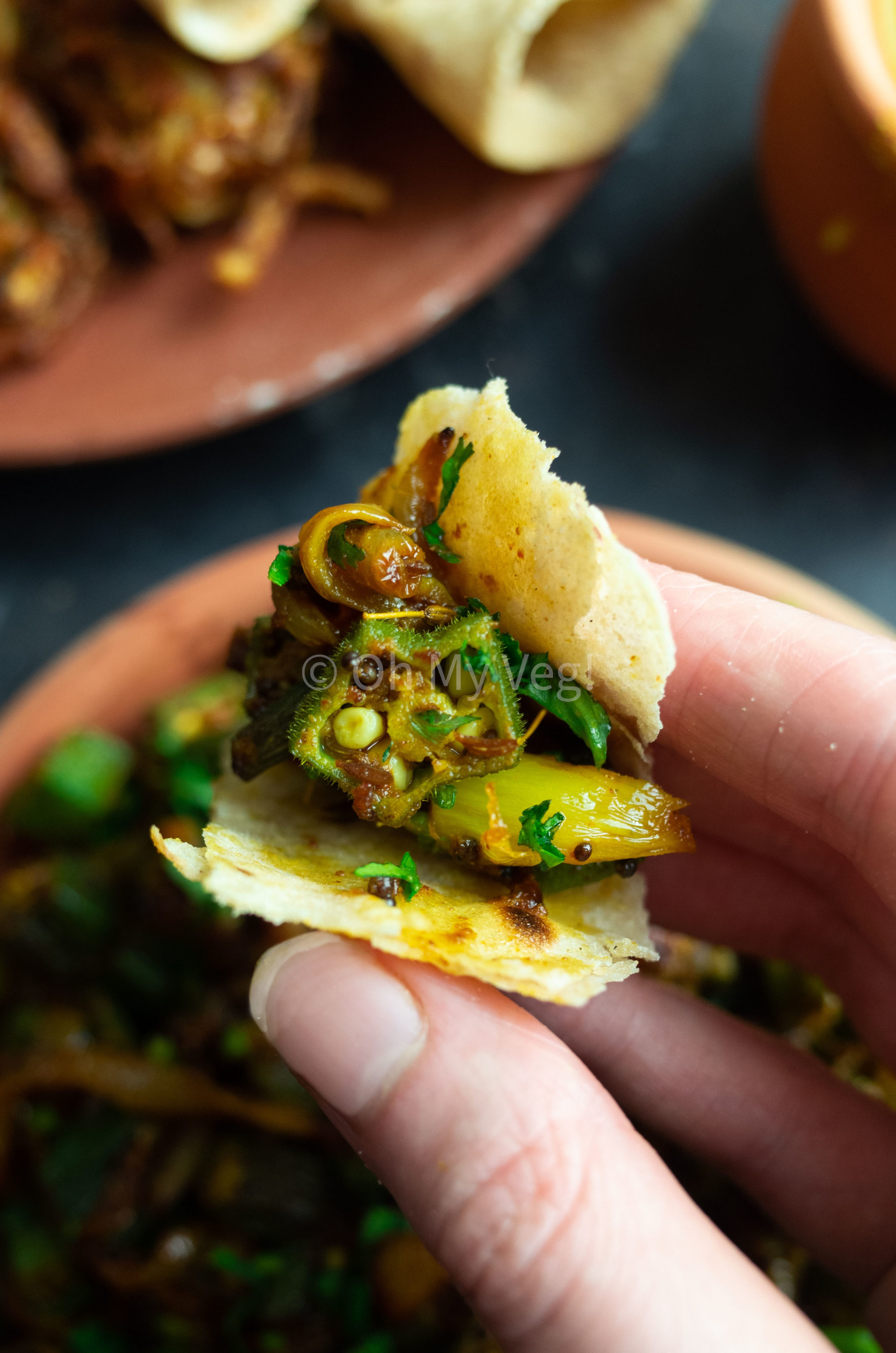 Bhindi Masala - Vegan Dry Okra Curry - Oh My Veg!