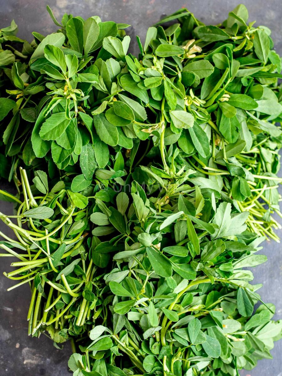 Bunches of fresh fenugreek leaves (methi). 