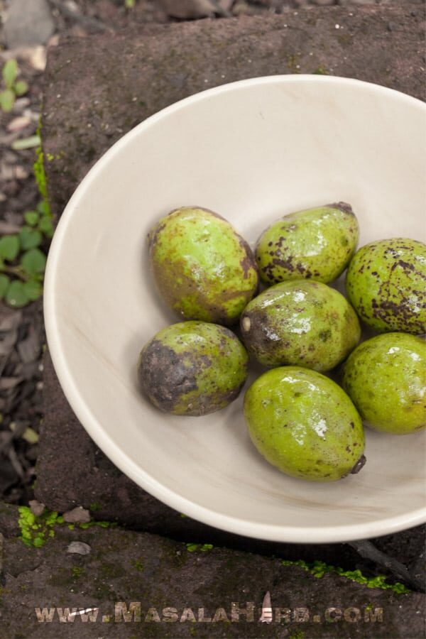 Hog plums in a bowl.