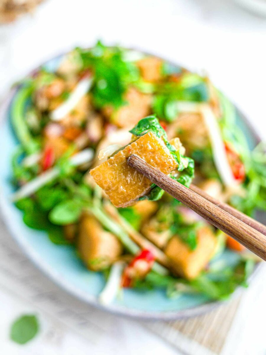 Chopsticks holding a piece of tofu.