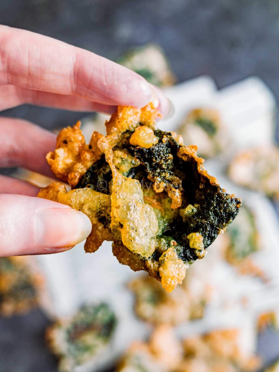 A hand holding a seaweed crisp.